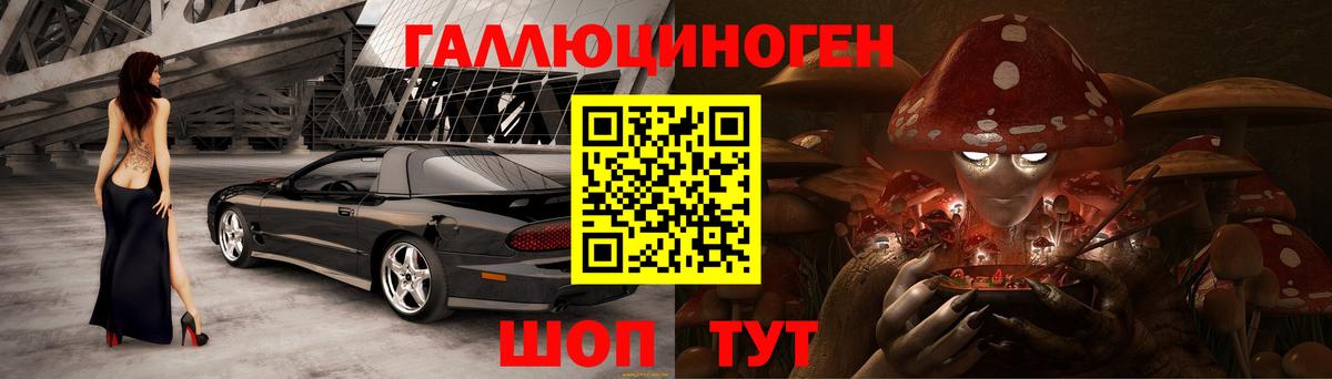 цена   Галлюциногенные грибы Psilocybine cubensis  Вход с VPN  Псилоцибиновые грибы мицелий  Новозыбков 